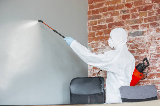 Best Mold Removal for HVAC Installations  in Sand Ridge, NY