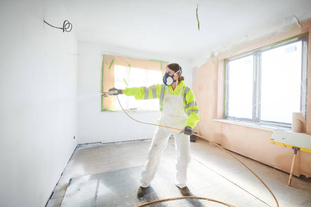 Best Basement Mold Removal  in Sand Ridge, NY