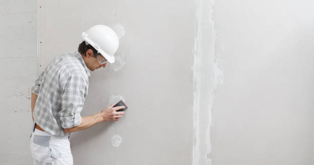 Best Black Mold Removal  in Sand Ridge, NY