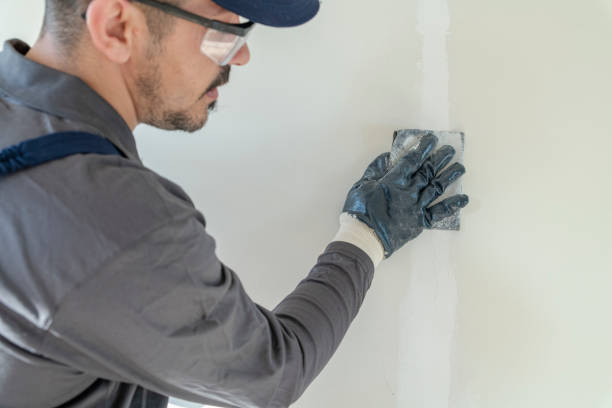 Best Mold-Related Health Consultation  in Sand Ridge, NY