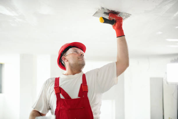 Best Mold Remediation for Healthcare Facilities  in Sand Ridge, NY