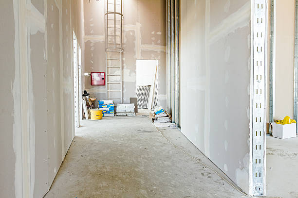 Best Crawl Space Mold Remediation  in Sand Ridge, NY