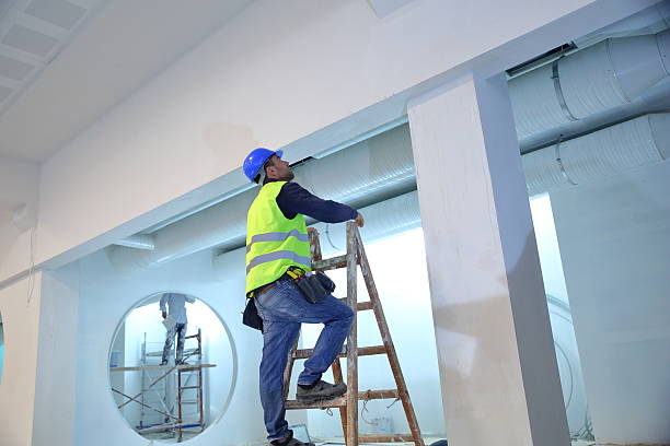 Sand Ridge, NY Mold Removal Company