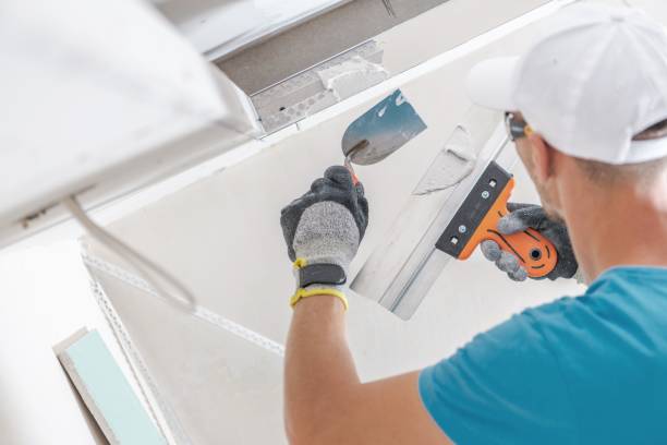 Best Forensic Mold Investigation  in Sand Ridge, NY